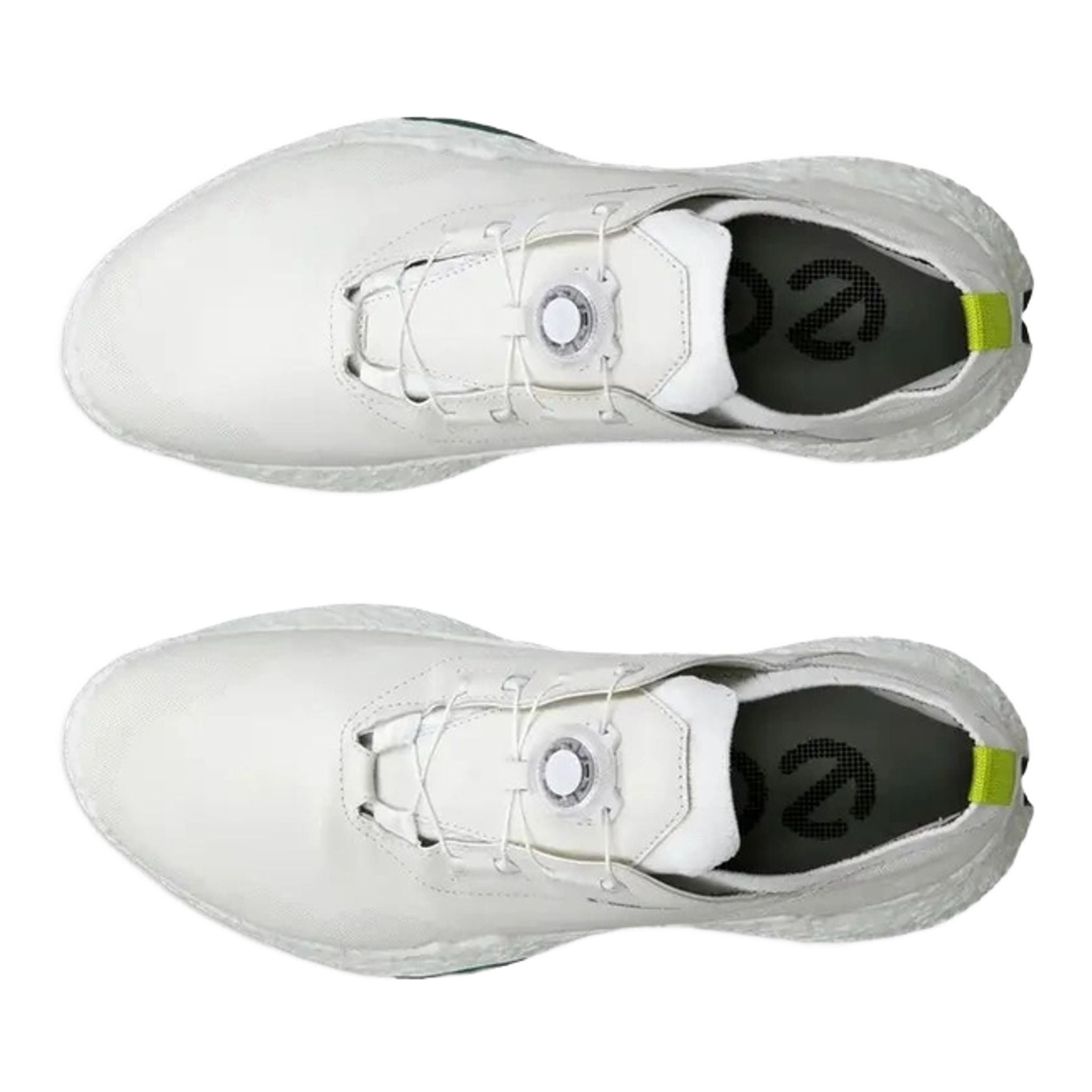 Pánské golfové boty Ecco Biom H5