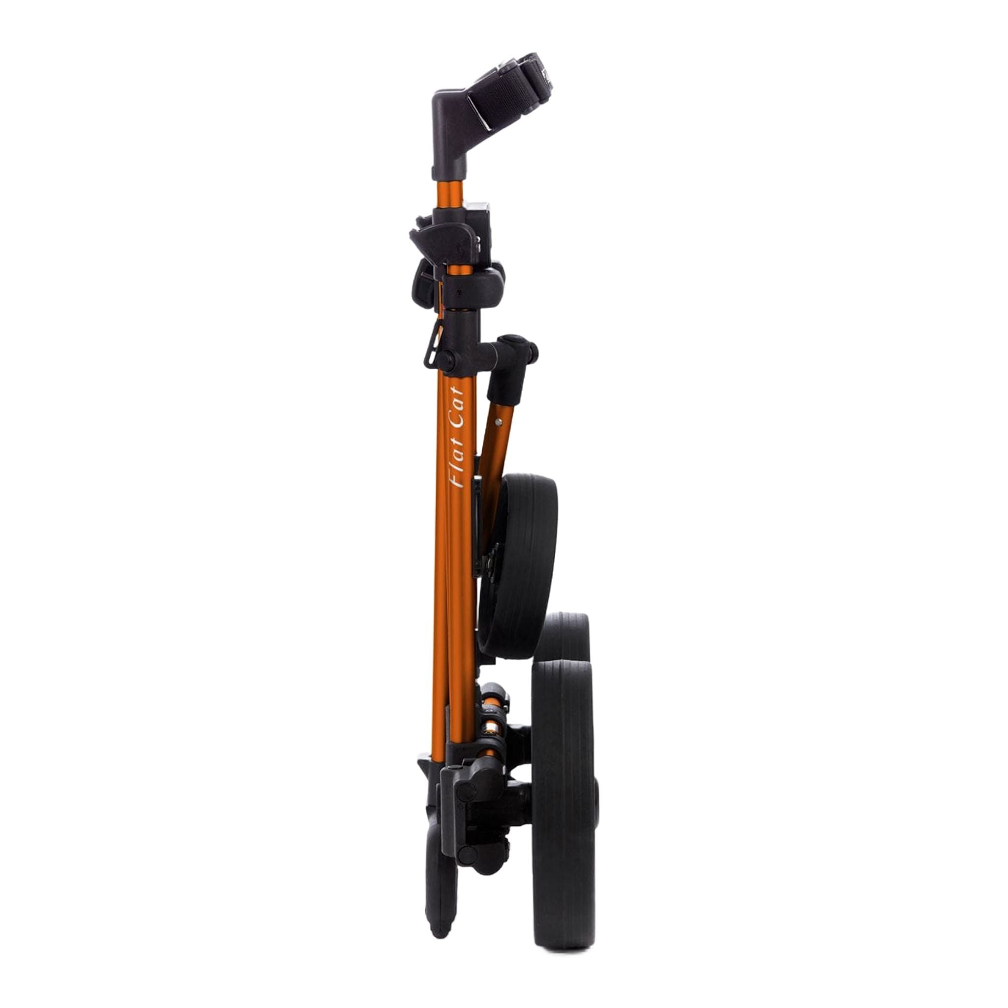 Plochý 3kolový vozík pro kočky