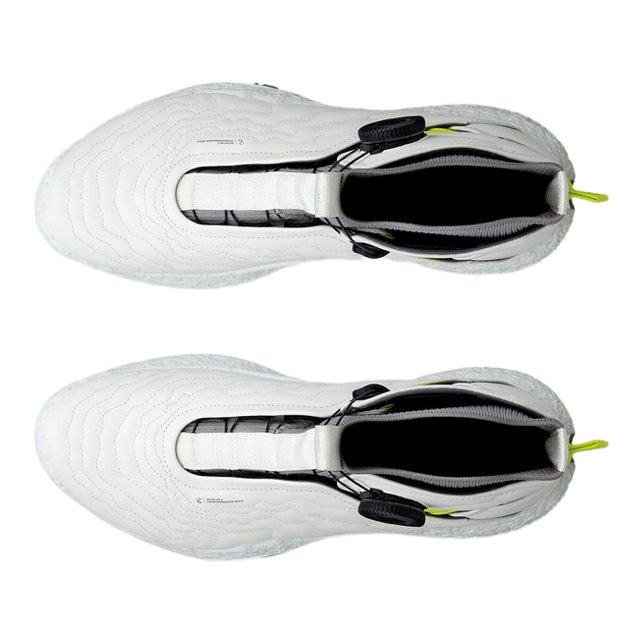 Ecco Biom H5 Boa Golfschuhe Herren