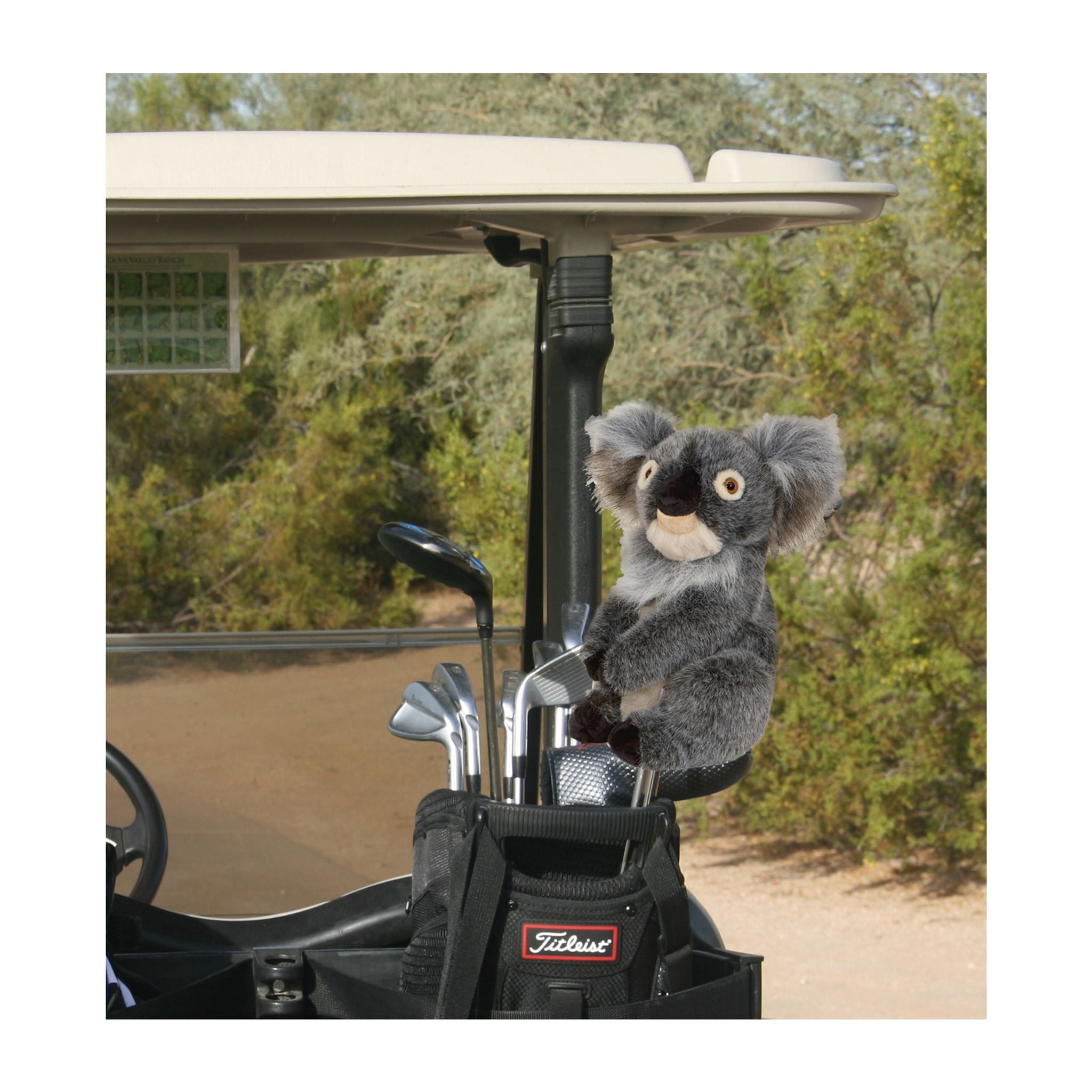 Daphne Driver Headcover Koala