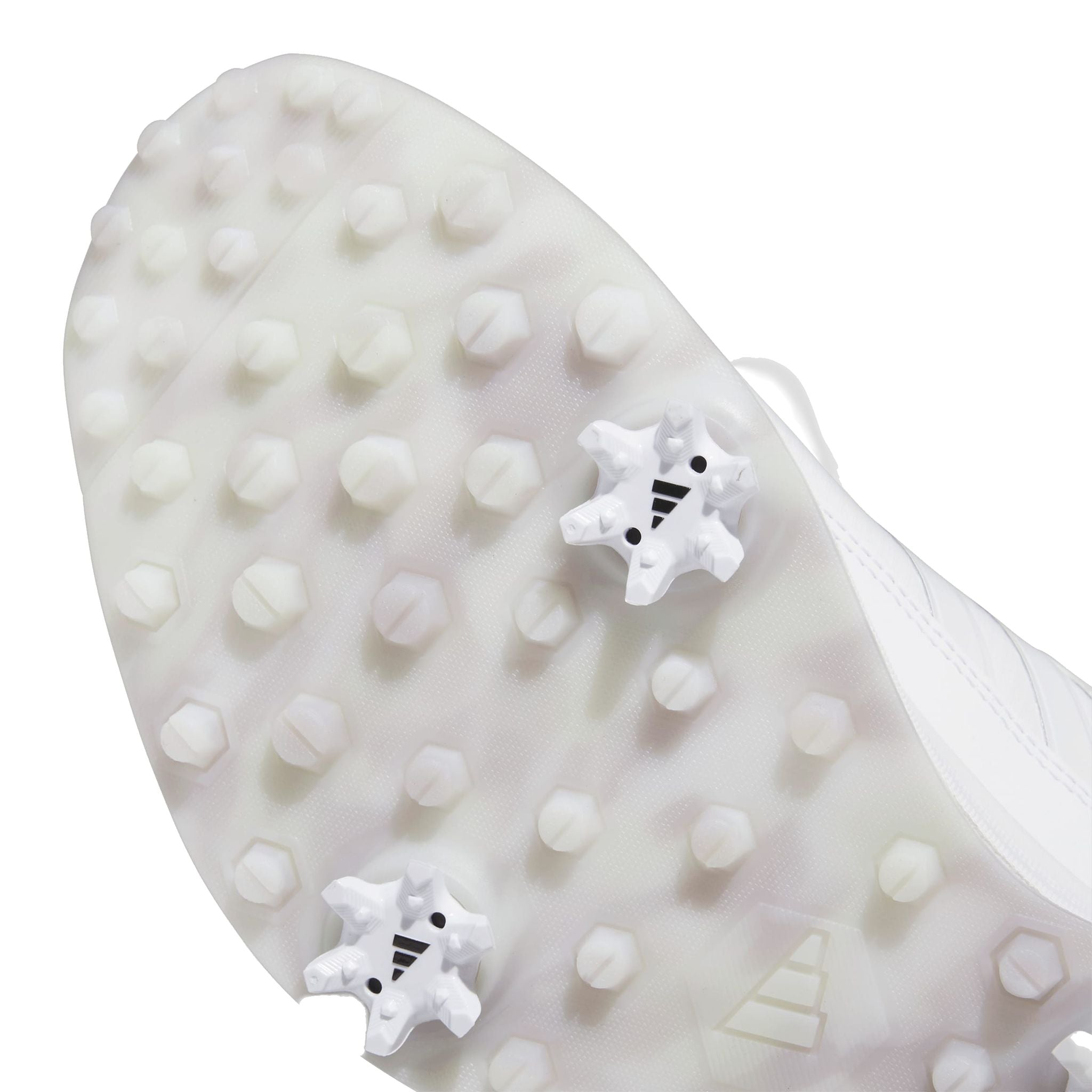 Adidas S2G Boa 24 Golfschuh Damen