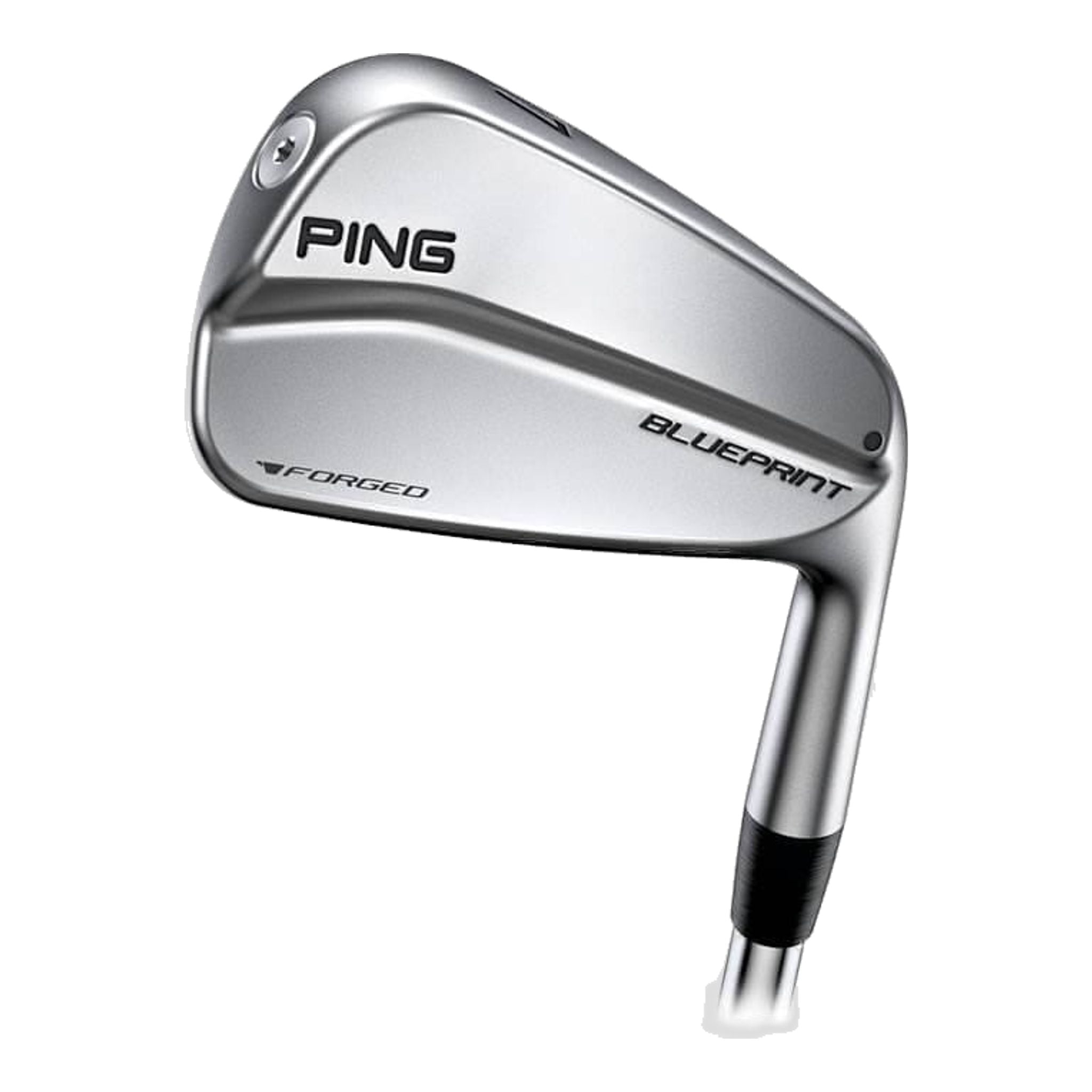 Ping BLUEPRINT Eisensatz Herren