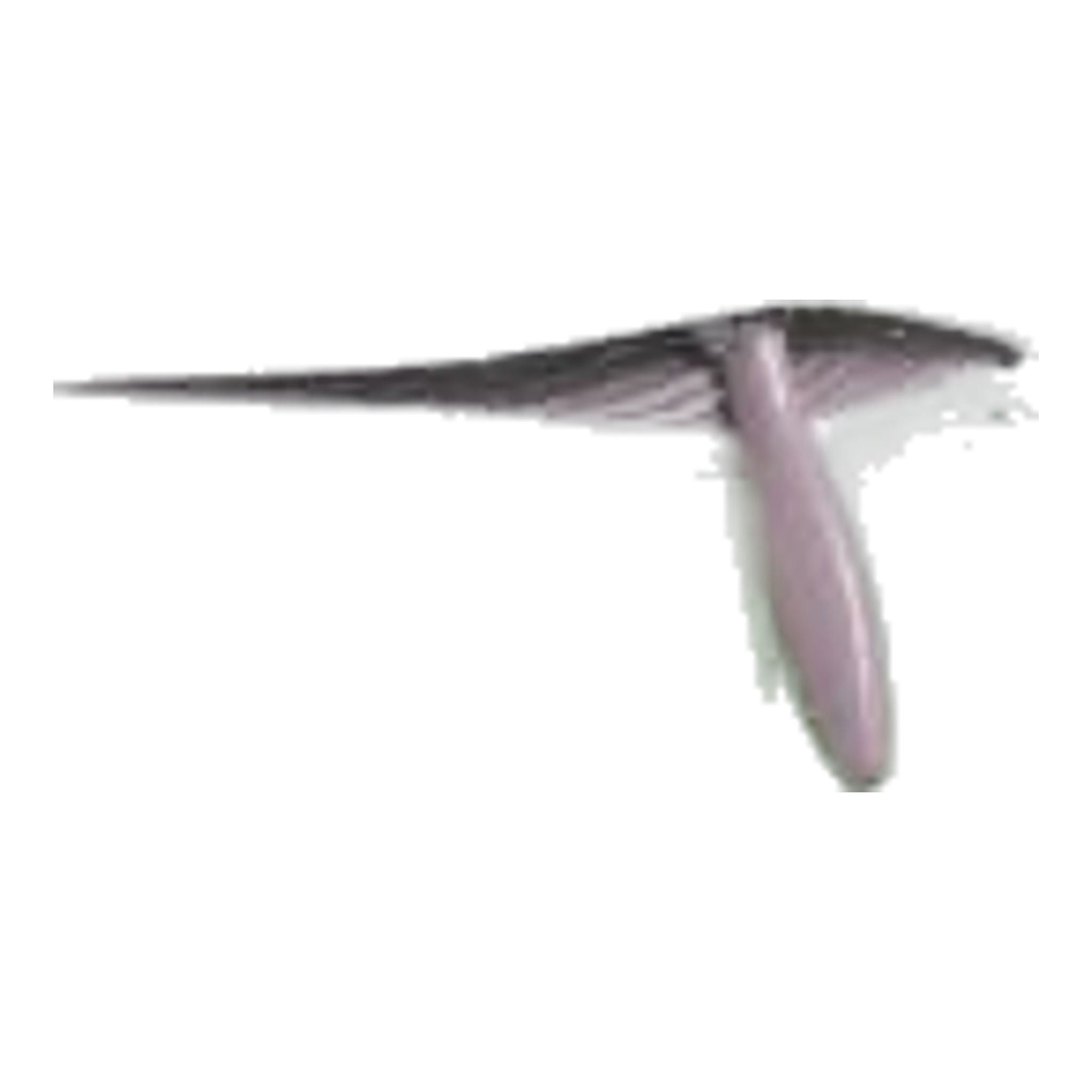 Dámské sukně s potiskem Adidas