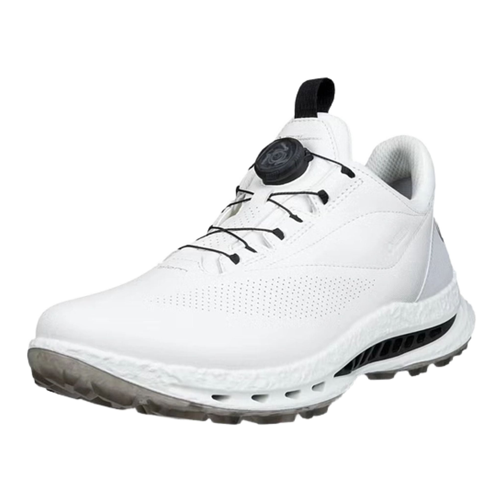 Ecco Golf BIOM C5 BOA GTX Golfschuhe Herren