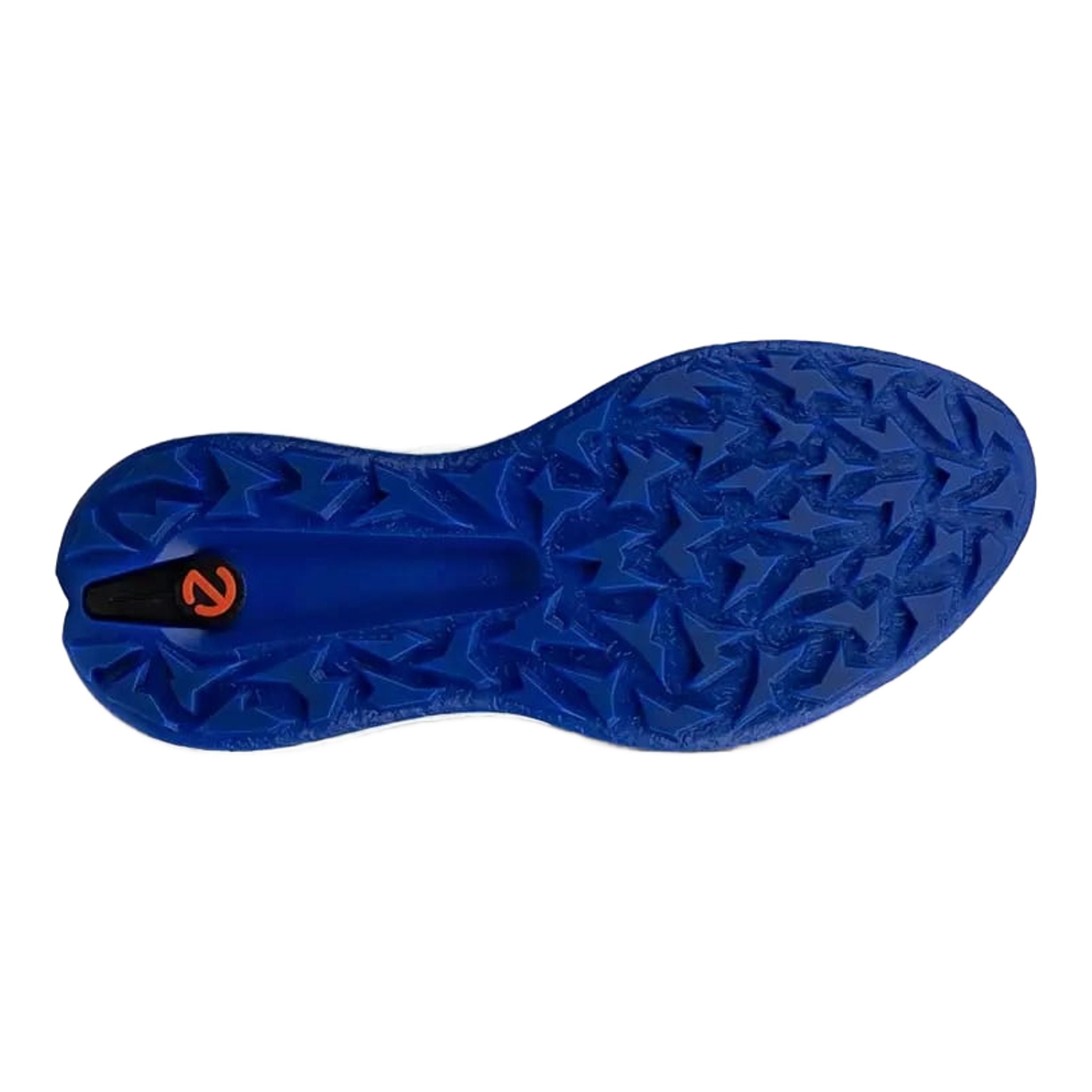 Ecco Biom H5 Golfschuhe Herren