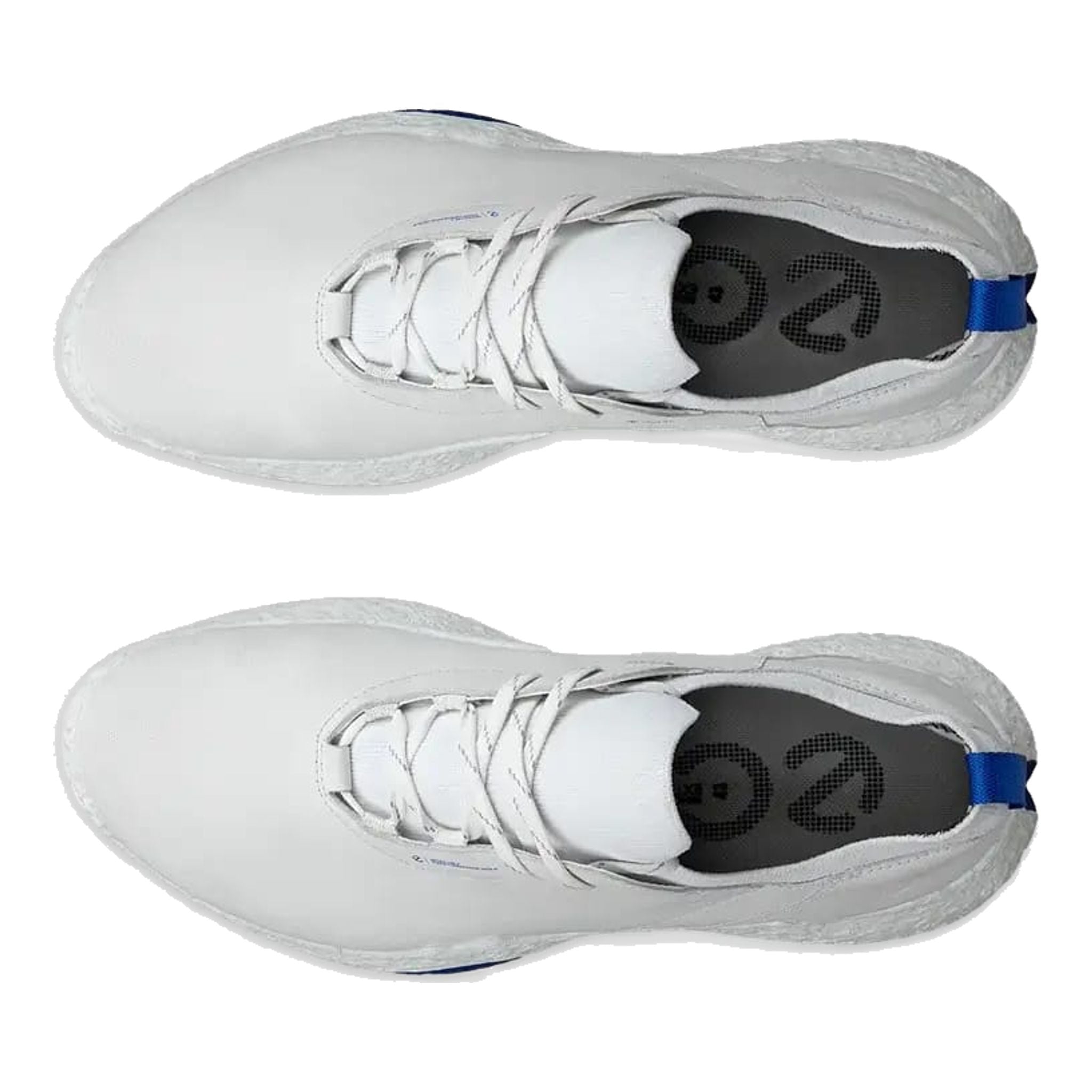 Ecco Biom H5 Golfschuhe Herren