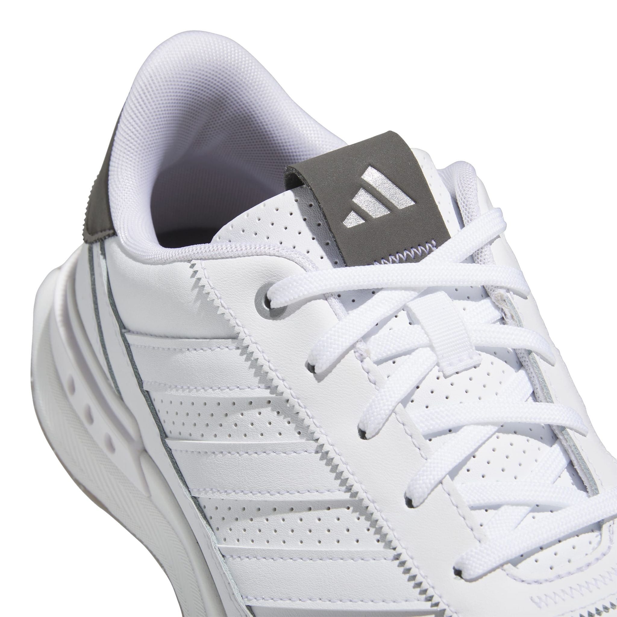Adidas S2G Spikeless Leather 24 Golfschuhe Herren