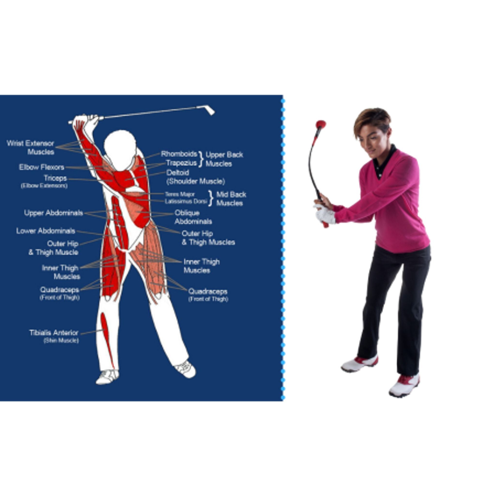 Pure 2 Improve Tempo Trainer Übungsgerät