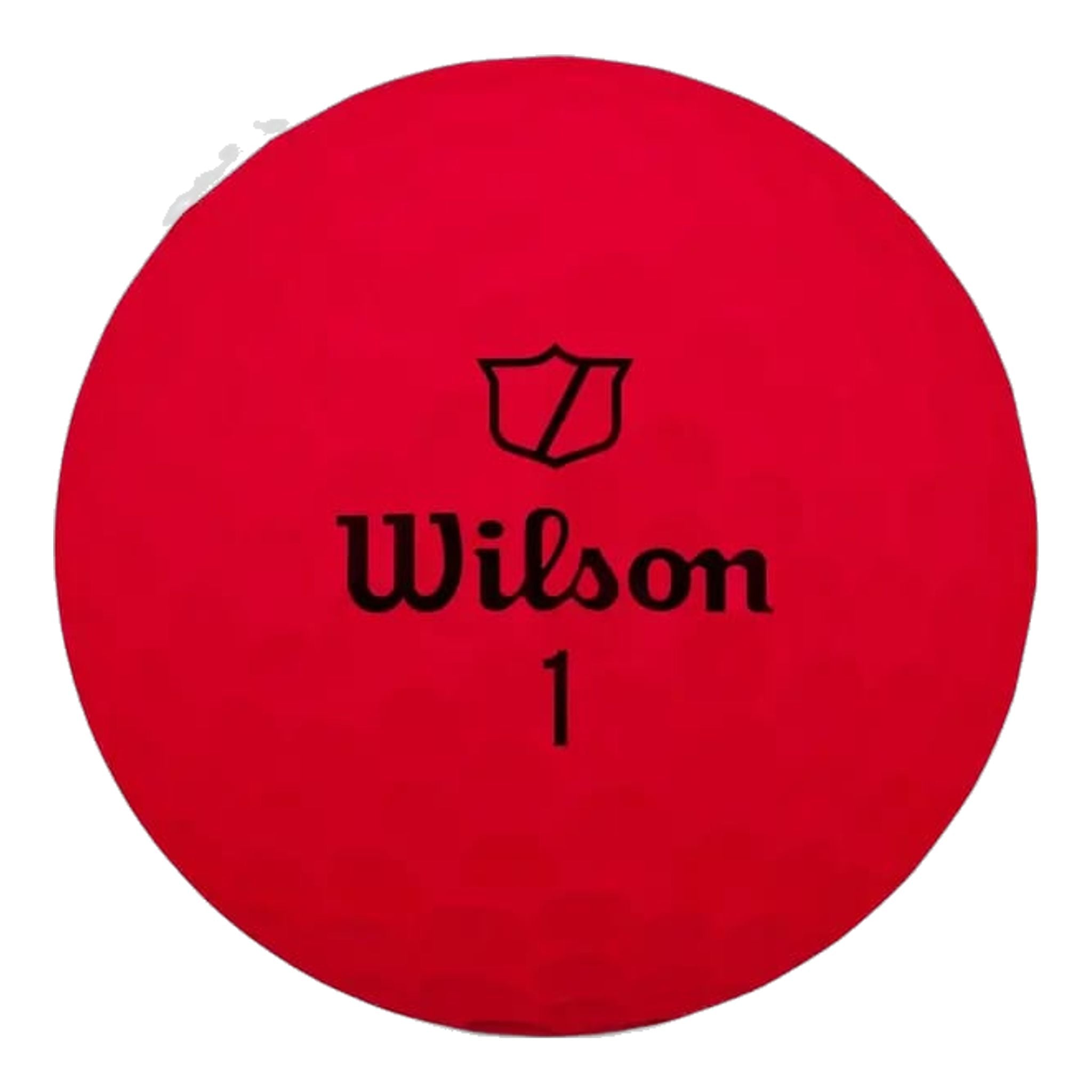 Golfové míčky Wilson DUO Soft